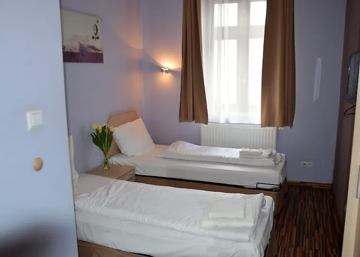 Great Polonia Dwarf 브로츠와프