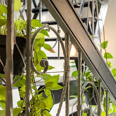 Great Polonia Dwarf Panzió