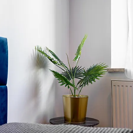 Great Polonia Dwarf 3*