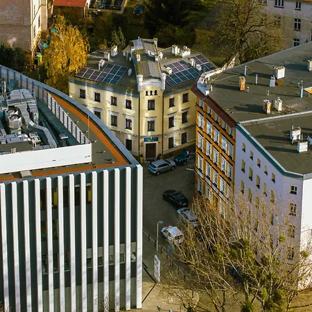 Great Polonia Dwarf Breslavia