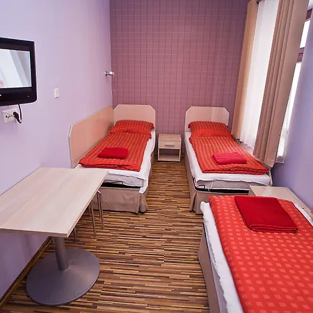 Great Polonia Dwarf Vratislav