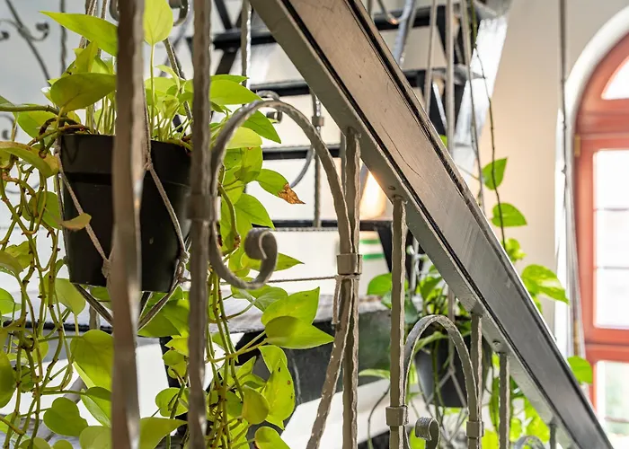 Great Polonia Dwarf Panzió