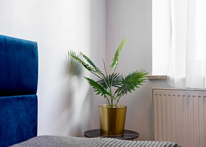 Great Polonia Dwarf 3*