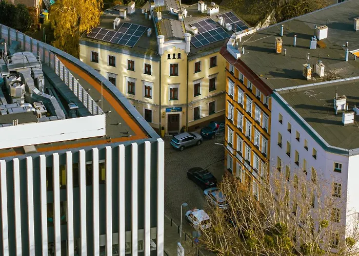 Great Polonia Dwarf Vratislav