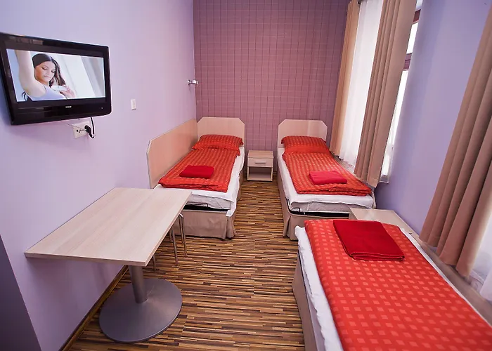 Great Polonia Dwarf Vratislav